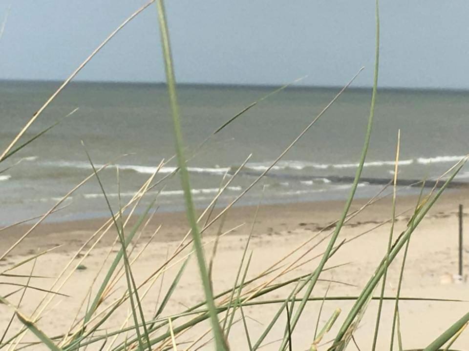 Stacaravan 4Pers In Bredene Met Eigen Tuintje 2449 Экстерьер фото